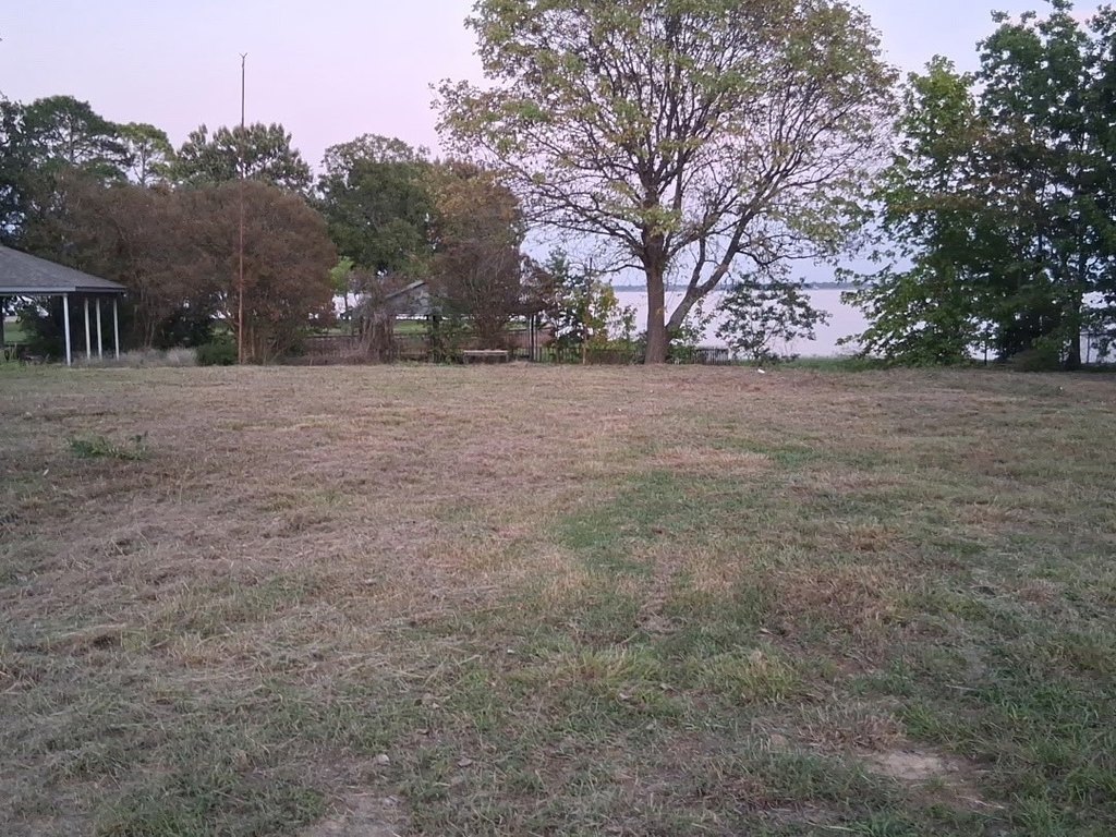 Picture 4