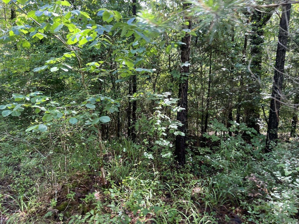Picture 11