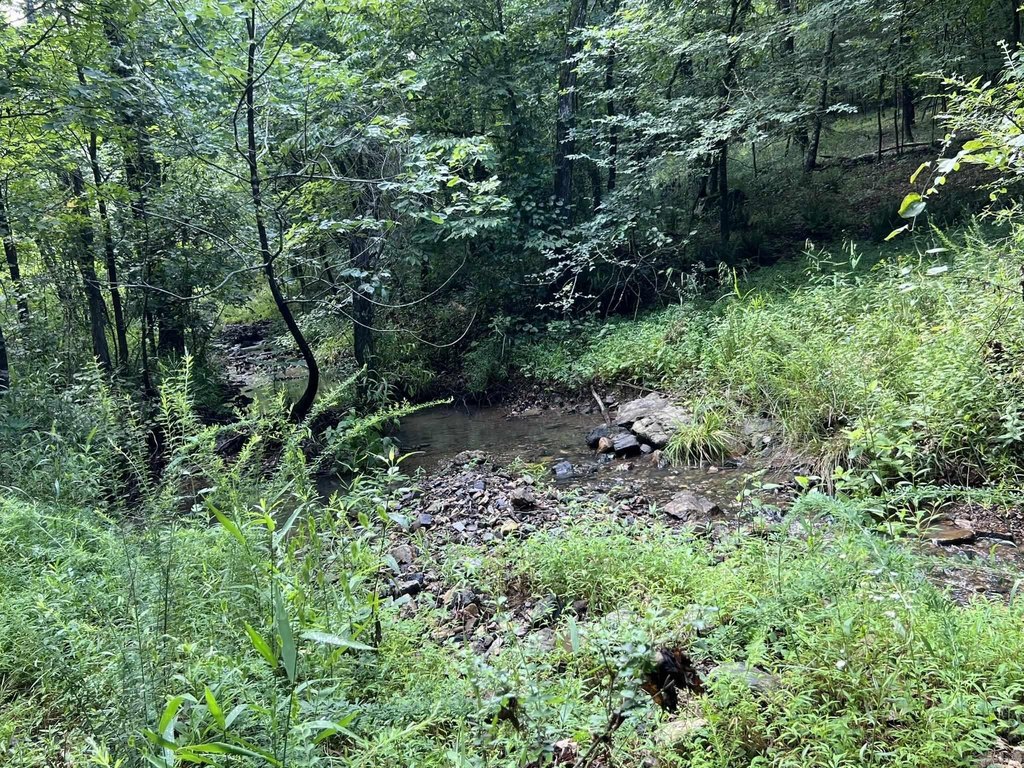 Picture 25