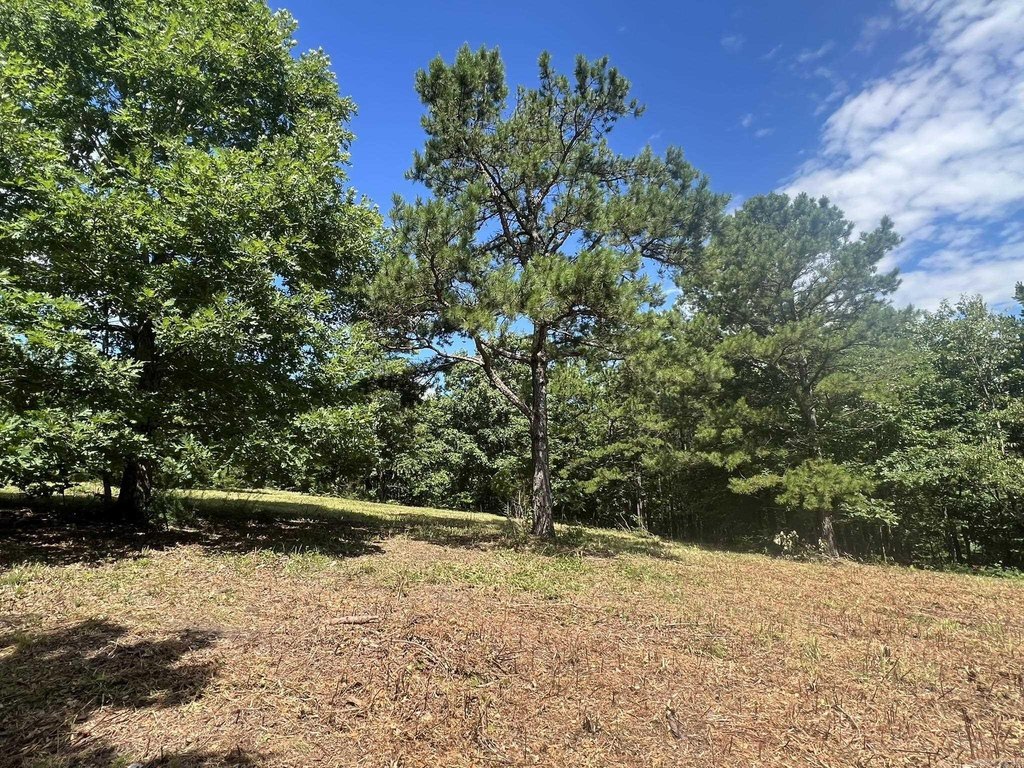 Picture 21