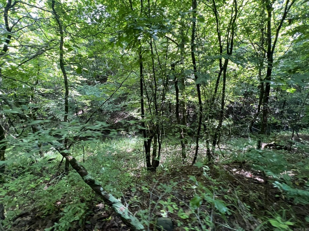 Picture 8