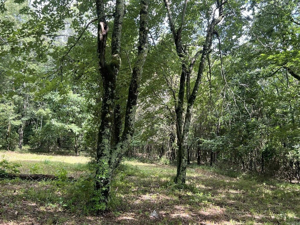 Picture 16