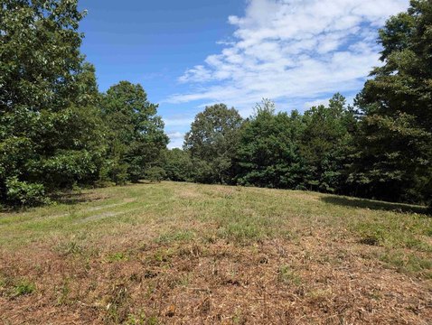 76.94 Acres Surrounded by Forest