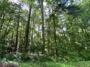 Residential Land in Sanford, NC