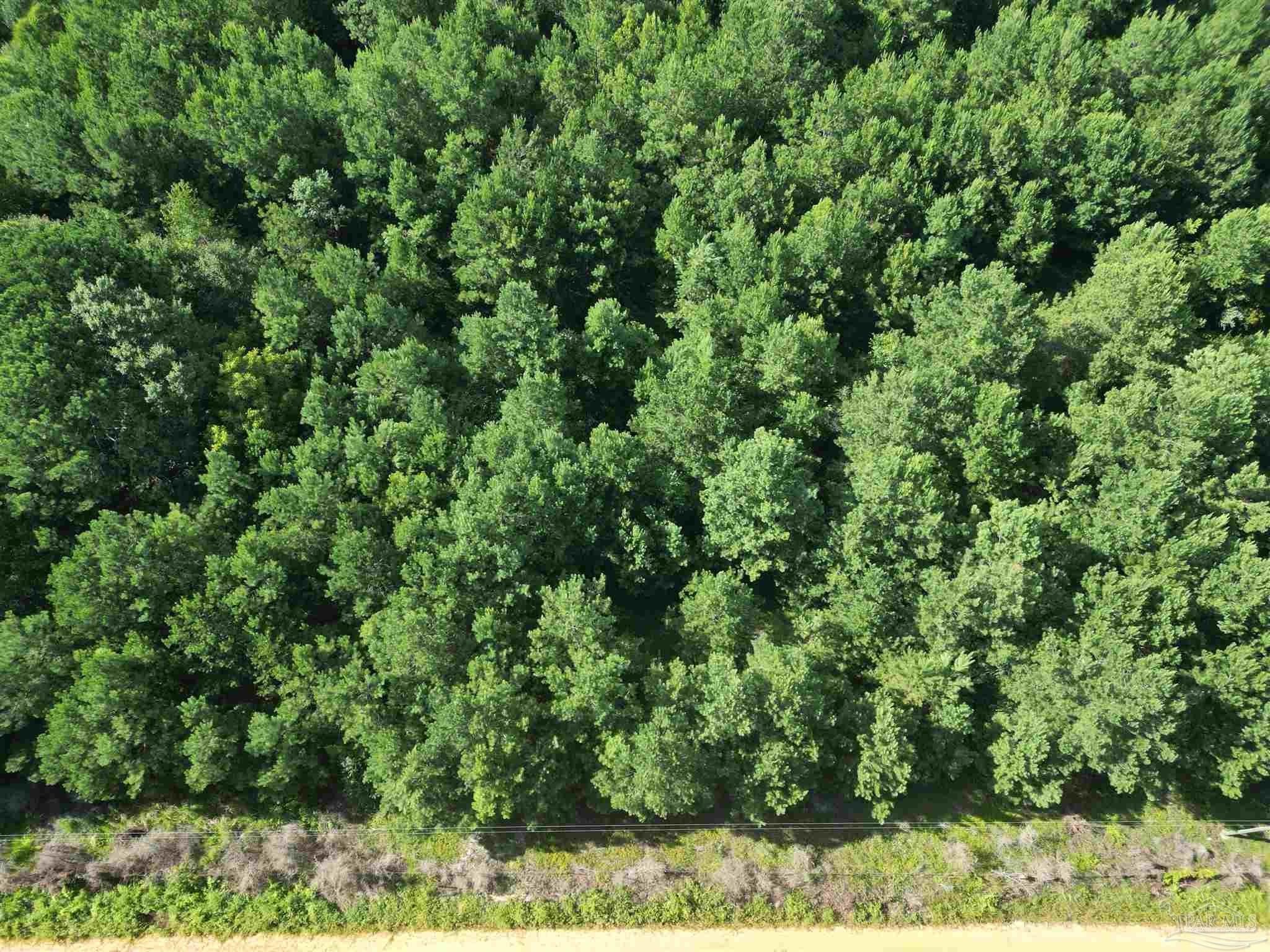 28 Acres Wooded Land Brewton