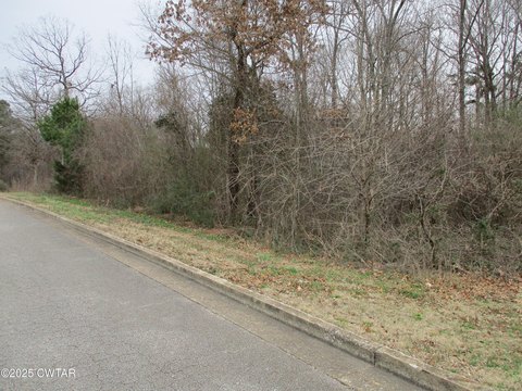 Residential Land in Lexington, TN