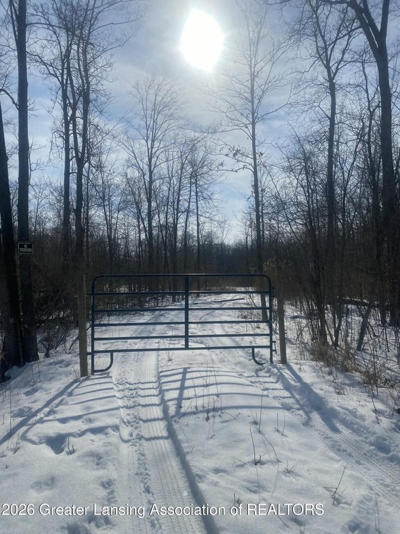 Picture 25