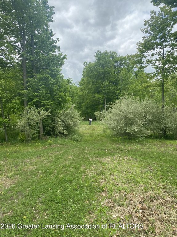 Picture 26