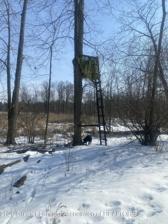 Picture 21