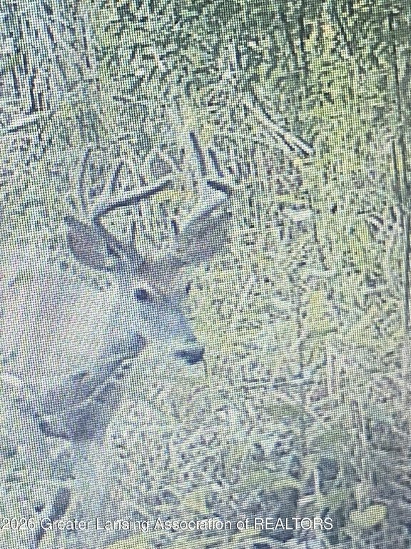 Picture 31