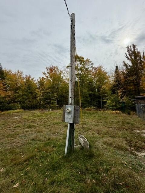 Picture 25