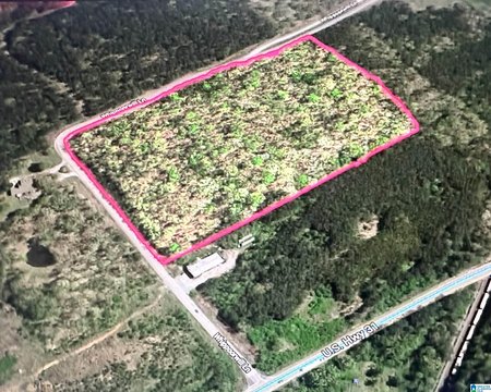 Wooded Commercial Land Parcel