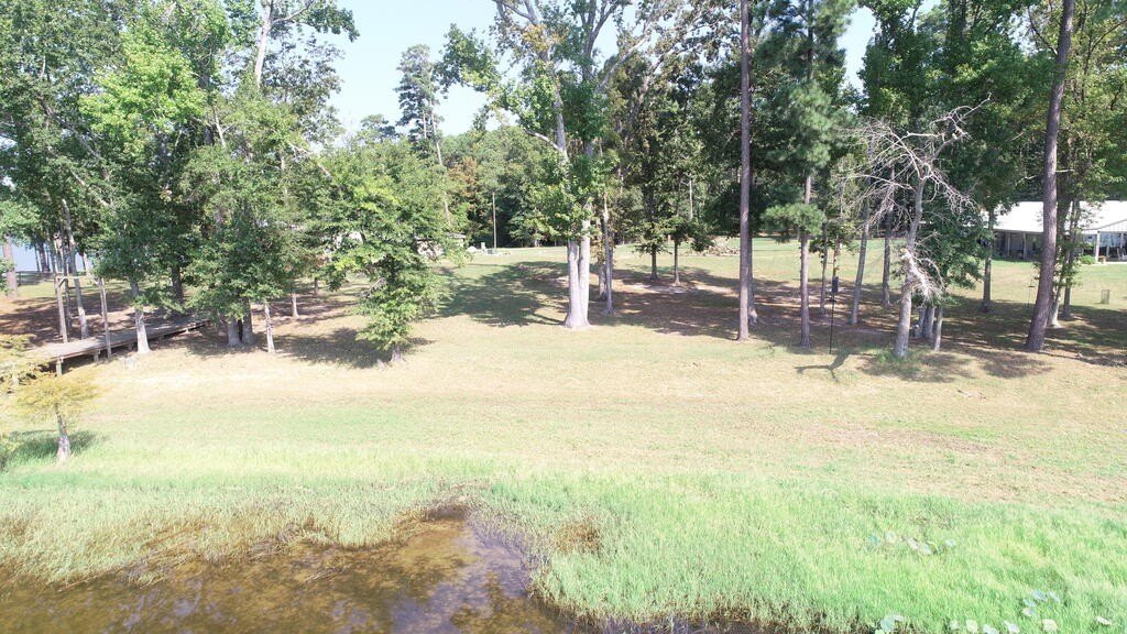 Picture 32