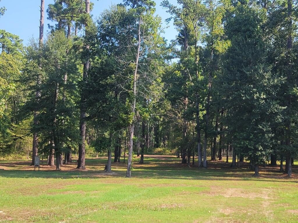 Picture 18