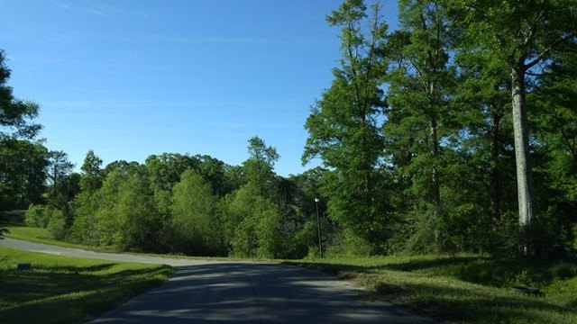 Picture 3