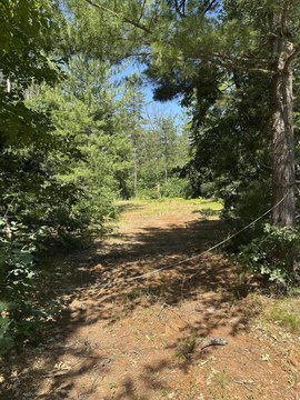 LAND - Baldwin, MI