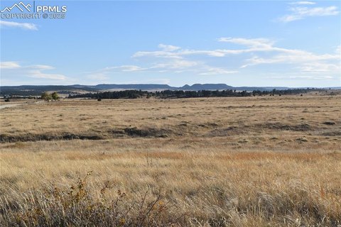 35 Acres in Staghorn Ranch