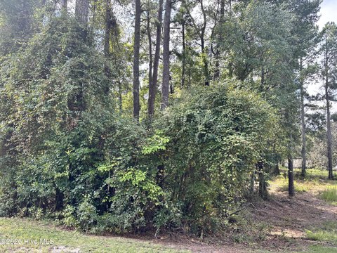Land, Atkinson, NC