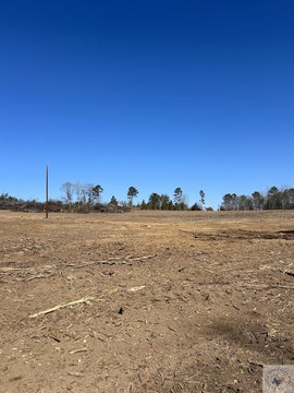 Cleared Land in McLeod, Texas