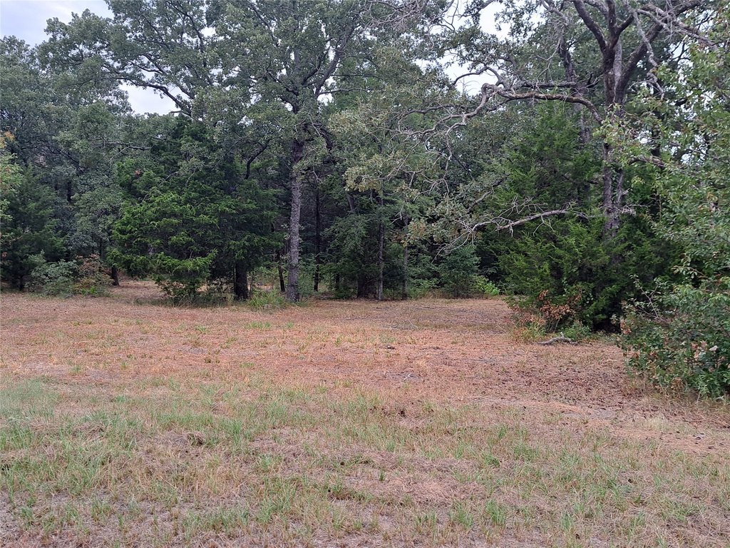 Picture 5