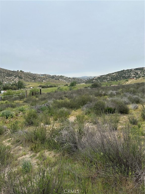 Picture 13