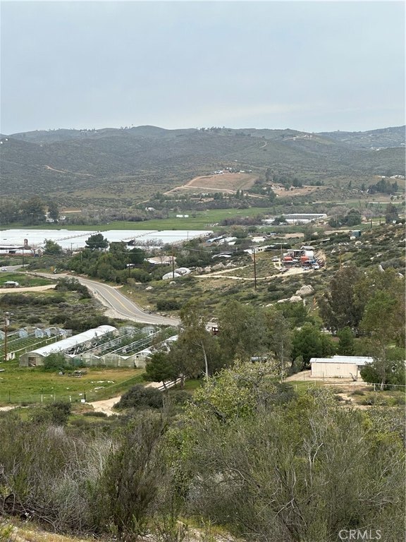 Picture 22