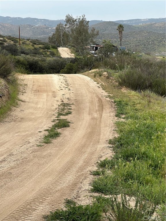 Picture 19