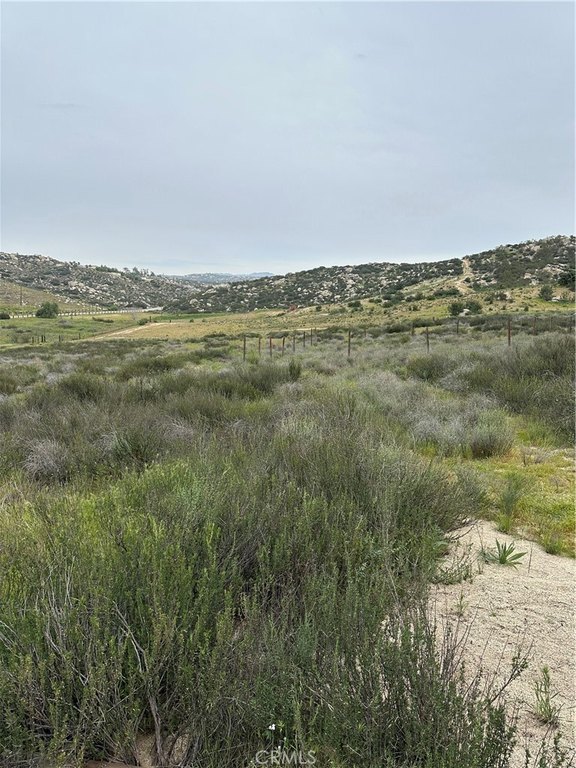 Picture 20