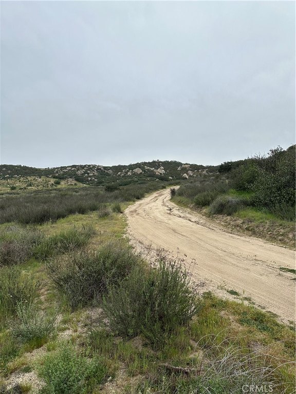 Picture 15