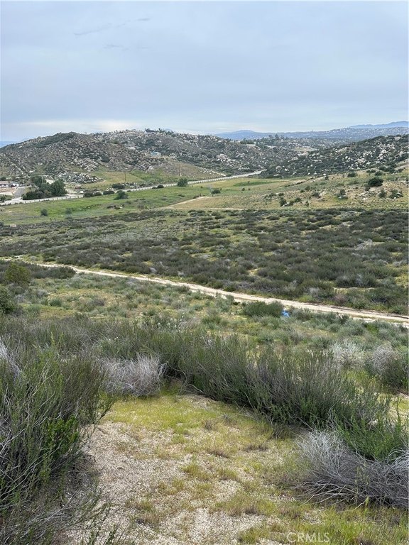 Picture 6