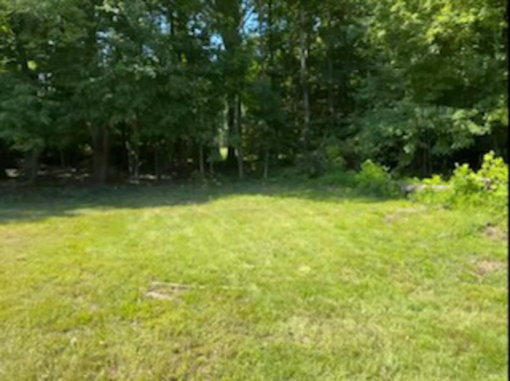Picture 7