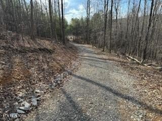 Picture 24