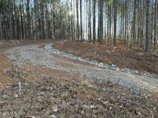 Picture 29