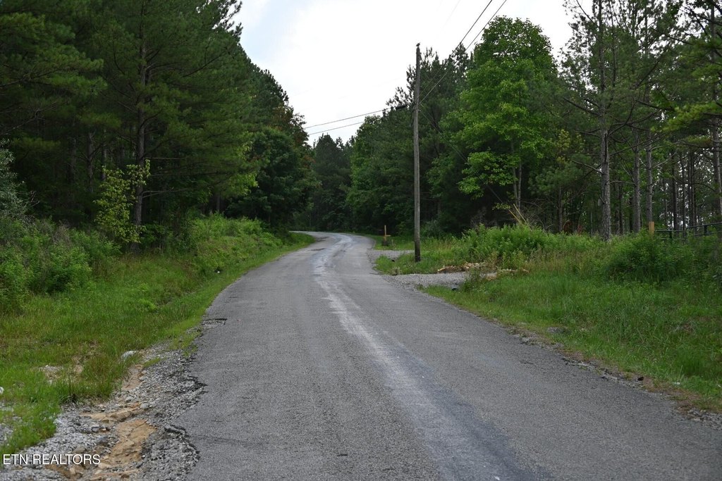 Picture 20