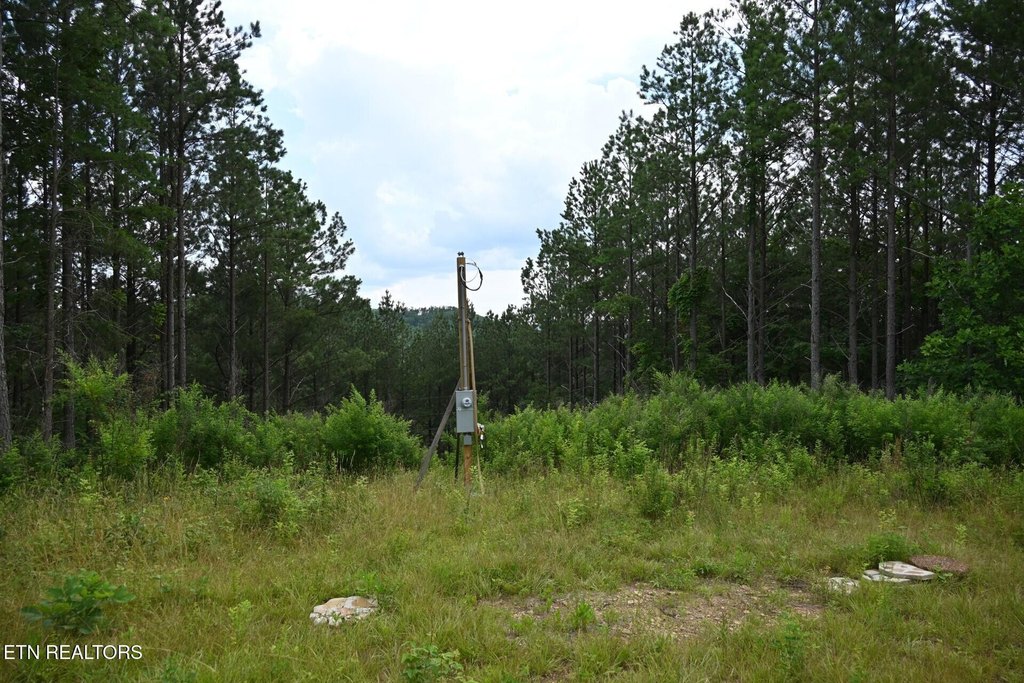 Picture 6
