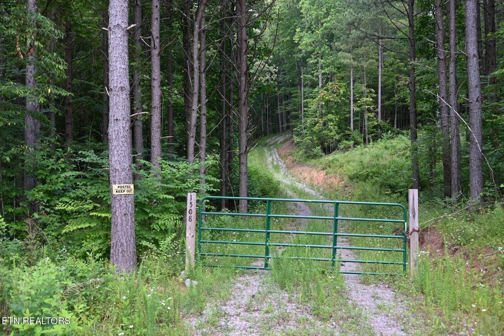 Picture 18