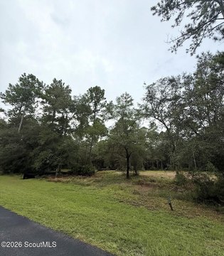 LAND - Townsend, GA
