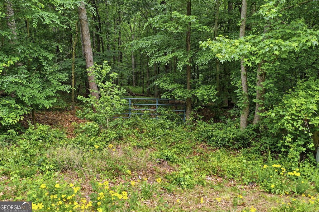 Picture 21