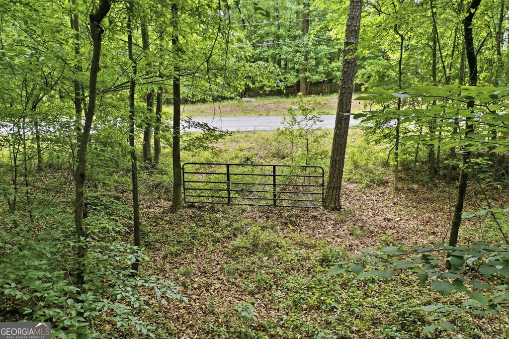 Picture 18