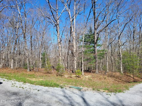 Crossville, TN Wooded Lot