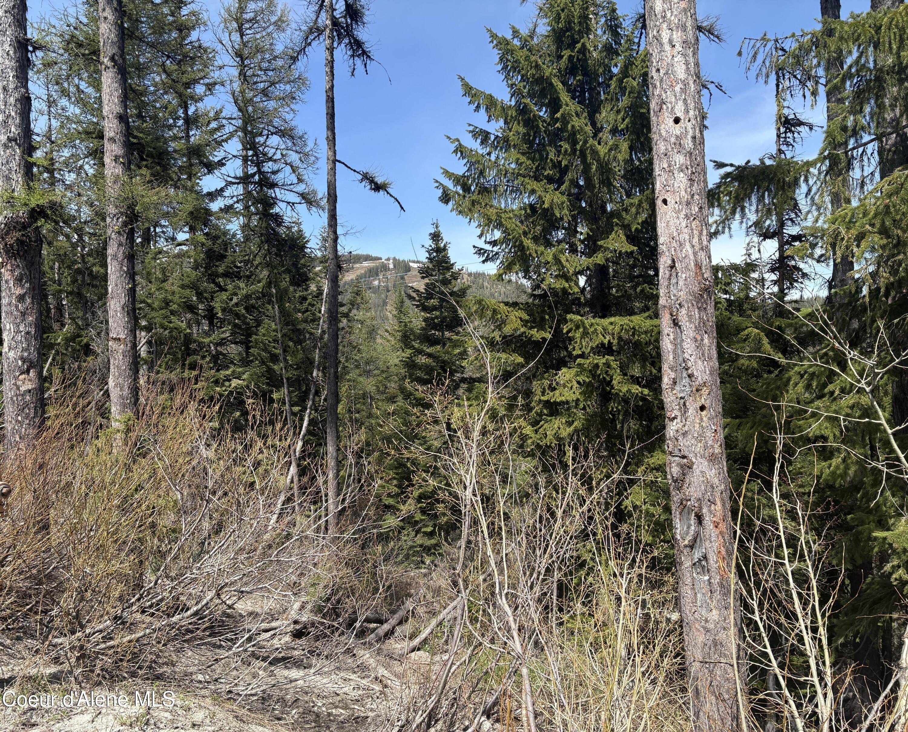 Schweitzer Building Lot Available