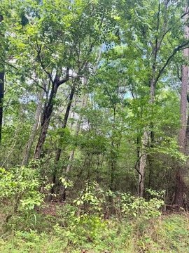 Lake Sam Rayburn Residential Lot