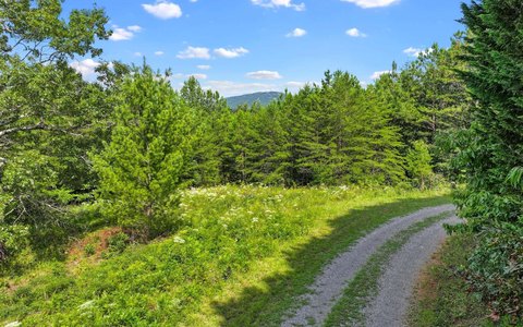 Mineral Bluff Buildable Vacant Lot