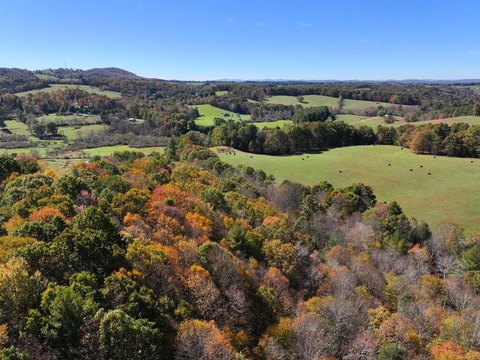 Pasture and Woodland Farmland