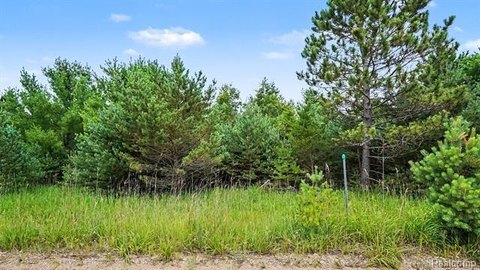 Wooded Hunting Land