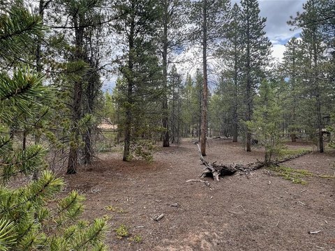Wooded Lot in Twin Lakes