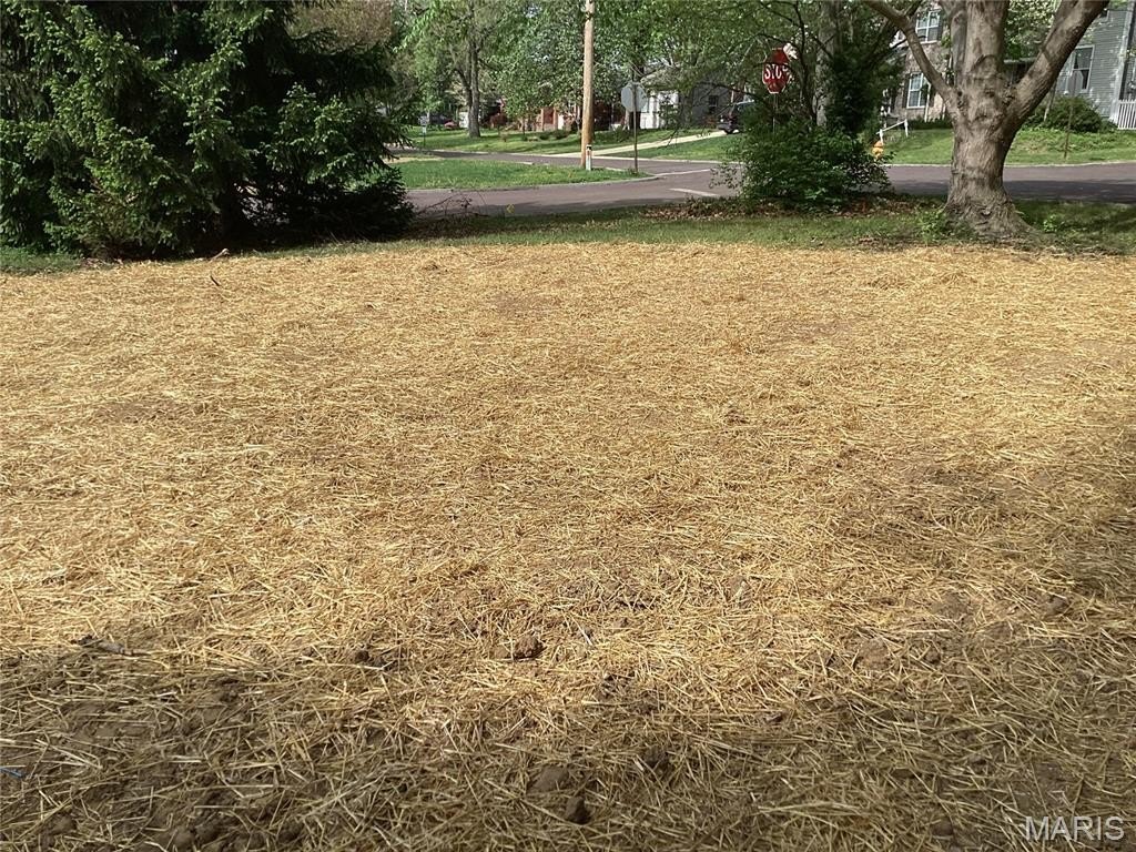 Picture 3