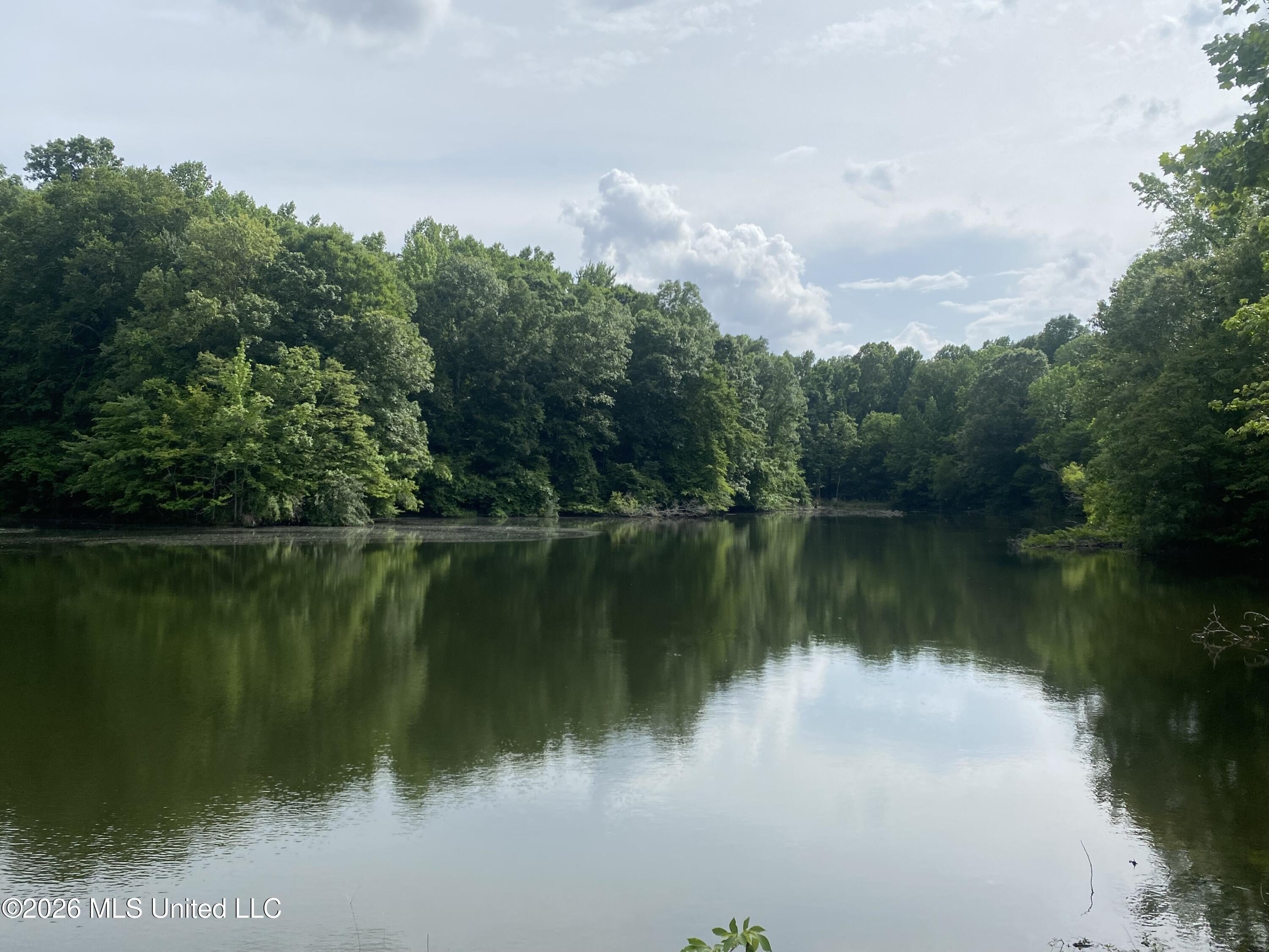 35 Acres with Renovatable Home