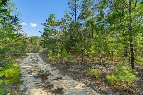 Secluded Acreage Near DeFuniak Springs