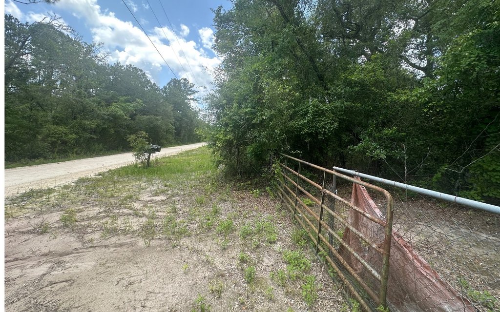 Picture 15